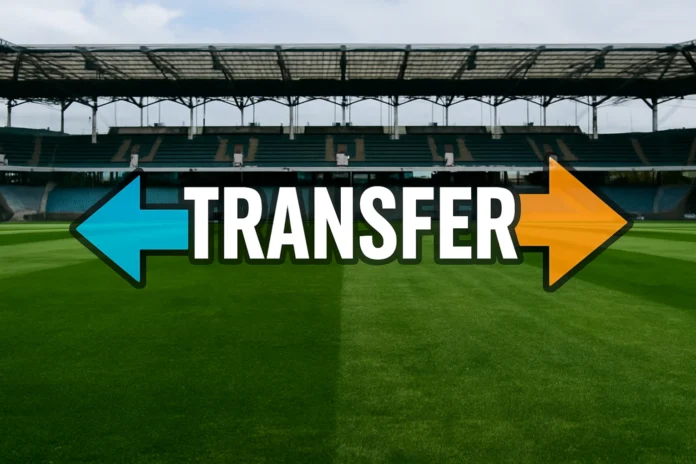 Transfery ogólny obrazek 13