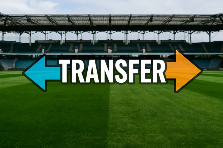 Transfery ogólny obrazek 13